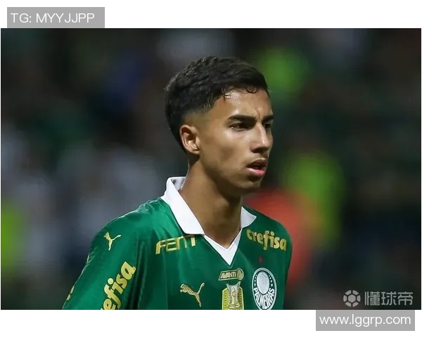 帕尔梅与图库曼体育的激烈对决揭示了南美足球的魅力与竞争力